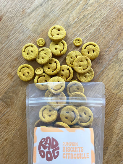 Pumpkin Biscuits